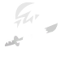 Icon Ninja Poisoner