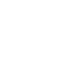 Icon Shotgun