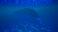 Sunken Ship