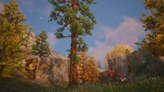 Oninoshima (Golden) - Location - Fortnite.png (4.32 MB) Cedar Tree