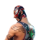Masked Fury (New) - Outfit - Fortnite