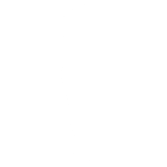 Poki (Featured) - Emote - Fortnite
