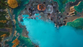 Top View