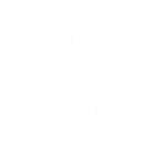 Shanty Step - Sidekick Emote - Fortnite