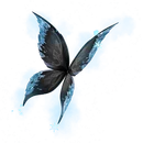 Lady's Frostwings (Dark Frostwings) - Back Bling - Fortnite