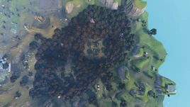 Top View
