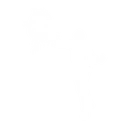 Peace Approved - Emote - Fortnite
