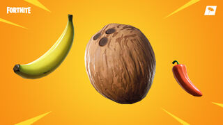 Foraged Items - Promo - Fortnite