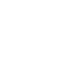 Classic Turtle Van - Decal - Rocket Racing