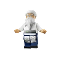Shifu (v28.30 - Featured) - Outfit - LEGO Fortnite