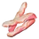 Bacon - Resource - Save the World