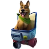 Bonesy