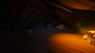 Attic