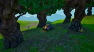 Small Forest (Replaced by Snobby Shores)