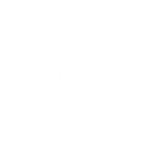 Skips' Skip - Emote - Fortnite