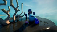 Coral Cove