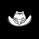 Cowboy Hat Uncommon Battle Royale BRSeason06CowboyHat