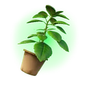 Green Herb - Back Bling - Fortnite