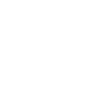 Whip-tail - Decal - Rocket Racing