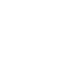 Icon Melee