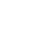 Icon Melee