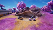 Painted Rock