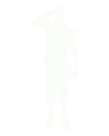 salut militaire wiki francophone fortnite fandom salut militaire wiki francophone