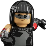 Shadow Ops (v30.00) - Outfit - LEGO Fortnite