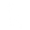 Birdarang Flourish - Emote - Fortnite