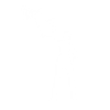 Captain Llamerica - Emote - Fortnite