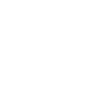 Icon Pistol