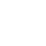 Order's Flourish - Emote - Fortnite