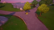 Roundabout
