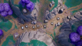 Top View