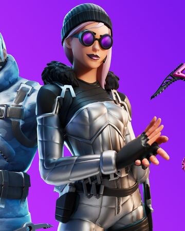 As Des Poles Wiki Francophone Fortnite Fandom