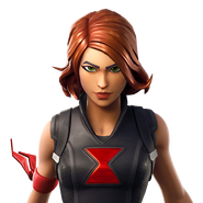 Icon (Before v30.00)