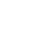 Disco (Surf Curse) (Featured) - Emote - Fortnite