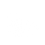 Nine-Tailed - Sidekick Emote - Fortnite