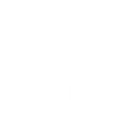 Disassemble - Emote - Fortnite