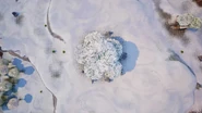 Top View (Christmas Day/Ice Storm)