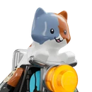 Kit (v30.00) - Outfit - LEGO Fortnite