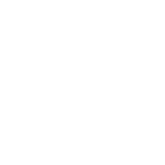 Skulls - Decal - Rocket Racing