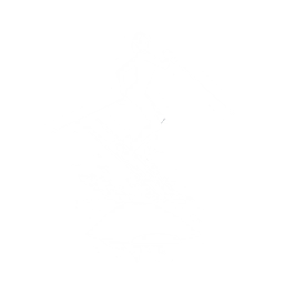 Stupid Sexy Skiing - Emote - Fortnite