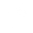 Wheel Of Better Things - Emote - Fortnite
