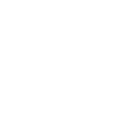 Tiger - Decal - Rocket Racing