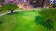 Hole 8