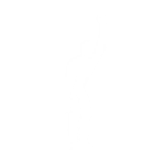 Surfin' Bird - Emote - Fortnite