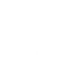Red Carpet - Emote - Fortnite