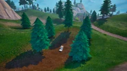 Tree Circle