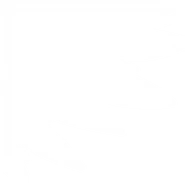 Icon (Before v36.20)